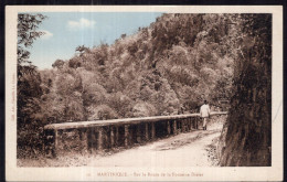 Martinique - Circa 1920 - Sur La Route De La Fontaine Didier - Autres & Non Classés