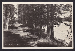 Sweden - RPPC Kykparken Atorp Posted 1933 - Zweden