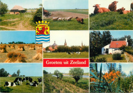 Netherlands Zeeland Coat Of Arms Cows - Other & Unclassified