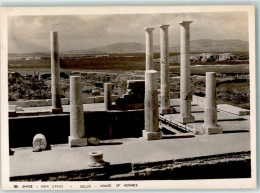 10285541 - Delos - Grèce