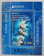 MONTENEGRO 2024 Europa CEPT. Underwater Fauna & Flora - Fine S/S MNH - Montenegro