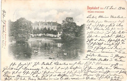 DEYELSDORF Mecklenburg Herrenhaus Mit Wassergeflügel Auf Dem Teich 15.6.1900 Gelaufen - Stralsund