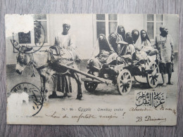 EGYPTE OMNIBUS ARABE - 10147 - Sonstige & Ohne Zuordnung