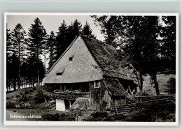 12038541 - Schwarzwald Haeuser Katze - Hochschwarzwald