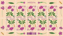 (!) Latvia 2024 Latvian Fund For Nature - Flower - Bird's-eye Primrose MINI SHEET MNH - Lettonie