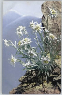 50719941 - No. 447 , Edelweiss , - Sonstige & Ohne Zuordnung