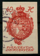 LIECHTENSTEIN 1920 Nr 23 Gestempelt X6FBECE - Oblitérés