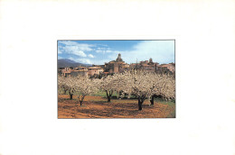 11-PAYSAGE DE L AUDE-N°2836-C/0007 - Altri & Non Classificati