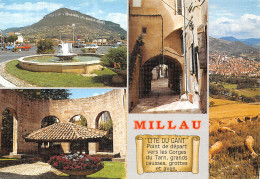 12-MILLAU-N°2836-C/0373 - Millau
