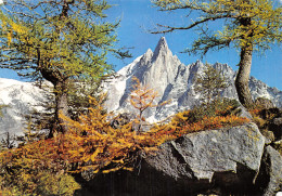 74-CHAMONIX-L AIGUILLE VERTE-N°2837-C/0017 - Chamonix-Mont-Blanc