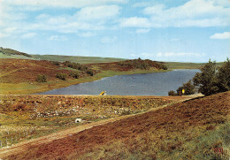 48-BONNECOMBE-L ETANG-N°2837-C/0005 - Sonstige & Ohne Zuordnung