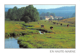 52-PAYSAGE DE HAUTE MARNE-N°2837-B/0335 - Sonstige & Ohne Zuordnung