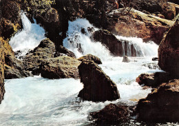 84-FONTAINE DE VAUCLUSE-N°2838-B/0137 - Autres & Non Classés