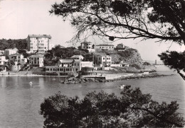 83-BANDOL-N°2838-A/0121 - Bandol