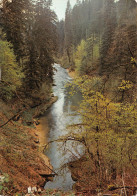 39-PAYSAGE DU JURA-SOURCE DE L AIN-N°2839-A/0125 - Autres & Non Classés