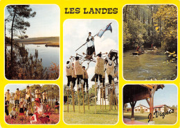 40-PANORAMA DES LANDES-N°2838-C/0163 - Other & Unclassified