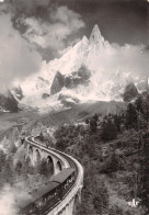 74-CHAMONIX-CHEMIN DE FER DU MONTENVERS-N°2839-C/0313 - Chamonix-Mont-Blanc