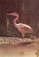 13-LES SAINTES MARIES DE LA MER-PARC ZOOLOGIQUE-N°2839-C/0187 - Saintes Maries De La Mer