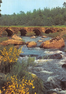 48-PAYSAGE DE LOZERE-N°2839-C/0027 - Autres & Non Classés