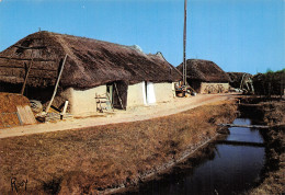 85-PAYSAGE DE VENDEE-BOURRINE-N°2840-B/0205 - Autres & Non Classés