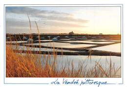 85-PAYSAGE DE VENDEE-MARAIS SALANT-N°2840-A/0273 - Sonstige & Ohne Zuordnung