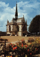 37-AMBOISE-N°2839-D/0203 - Amboise