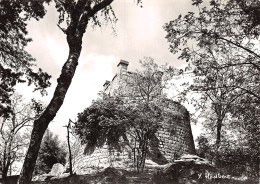 77-FONTAINEBLEAU-N°2840-C/0321 - Fontainebleau