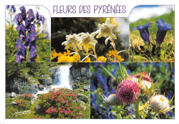 09-FLEURS DES PYRENEES-N°2841-C/0153 - Autres & Non Classés