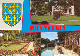 45-MONTARGIS-N°2841-A/0251 - Montargis