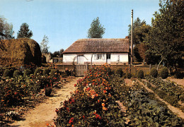 85-PAYSAGE DE VENDEE-BOURRINE-N°2841-A/0261 - Autres & Non Classés