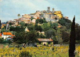 06-BIOT -N°2842-B/0249 - Biot