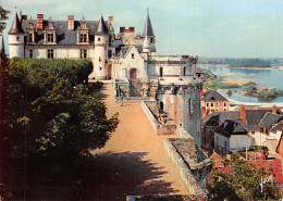 37-AMBOISE-LE CHÂTEAU-N°2842-A/0347 - Amboise