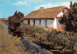 85-PAYSAGE DE VENDEE-N°2841-D/0165 - Autres & Non Classés