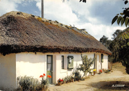 85-PAYSAGE DE VENDEE-LA BOURRINE-N°2842-D/0343 - Sonstige & Ohne Zuordnung