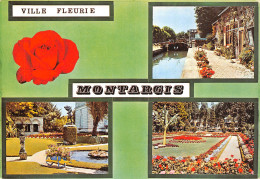 45-MONTARGIS-N°2842-D/0245 - Montargis
