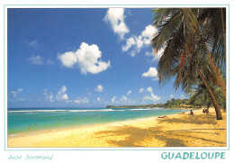 971-LA GUADELOUPE-N°2842-C/0395 - Other & Unclassified