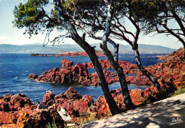 83-SAINT RAPHAEL-N°2842-B/0357 - Saint-Raphaël