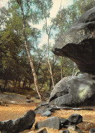 77-FONTAINEBLEAU-LA FORET-N°2843-C/0167 - Fontainebleau