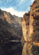 48-GORGES DU TARN-N°2843-C/0035 - Gorges Du Tarn