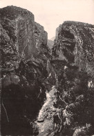 04-PANORAMA DES GORGES DU VERDON-N°2843-A/0305 - Autres & Non Classés