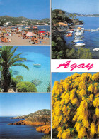 83-AGAY-N°2843-A/0209 - Other & Unclassified