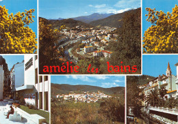 66-AMELIE LES BAINS-N°2844-C/0145 - Other & Unclassified