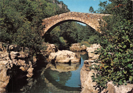 48-PONT DU CAPELAN-N°2844-B/0243 - Autres & Non Classés