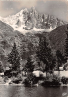 74-CHAMONIX-LE DRU-N°2845-C/0127 - Chamonix-Mont-Blanc