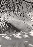 74-MASSIF DU MONT BLANC-N°2845-B/0397 - Sonstige & Ohne Zuordnung