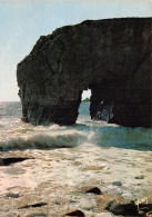 56-QUIBERON-N°2845-A/0051 - Quiberon