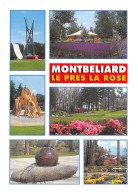 25-MONTBELLIARD-N°2845-C/0325 - Montbéliard