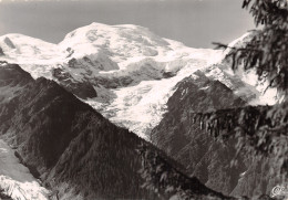 74-CHAMONIX-LE MONT BLANC-N°2846-D/0147 - Chamonix-Mont-Blanc
