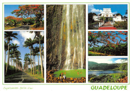 971-LA GUADELOUPE-N°2846-D/0001 - Other & Unclassified