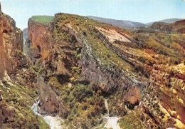 04-GORGES DU VERDON-N°2846-C/0293 - Autres & Non Classés